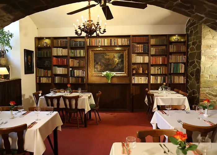 فندق U Semika 3*